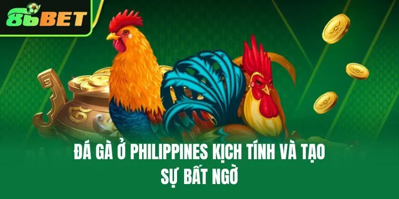 Đá gà ở Philippines kịch tính và tạo sự bất ngờ